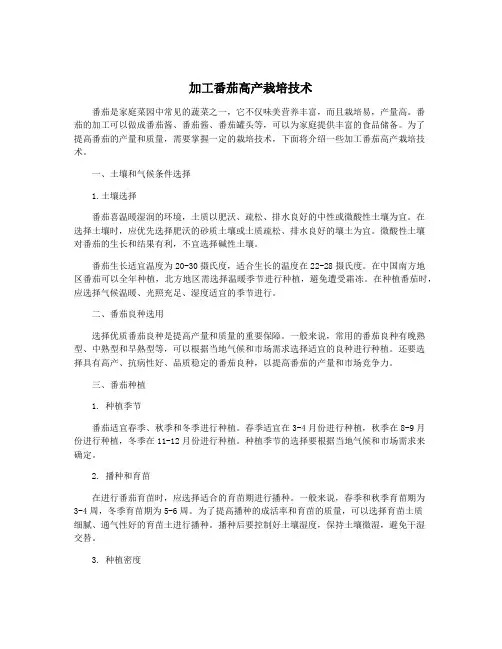 加工番茄高产栽培技术