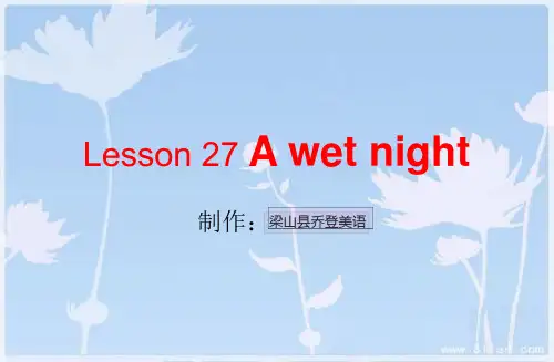 新概念英语第二册Lesson-27-A-wet-night