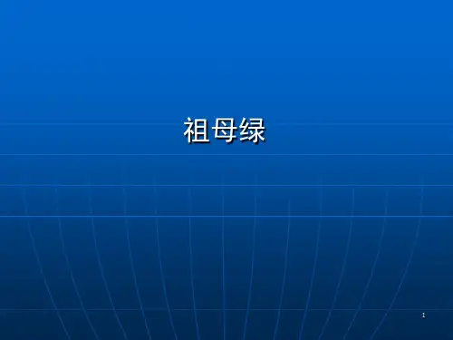 常见宝石鉴定特征ppt课件
