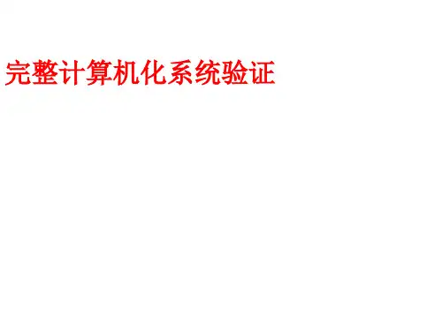 完整的计算机化系统验证