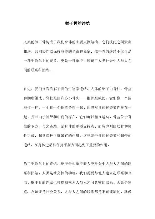 躯干骨的连结