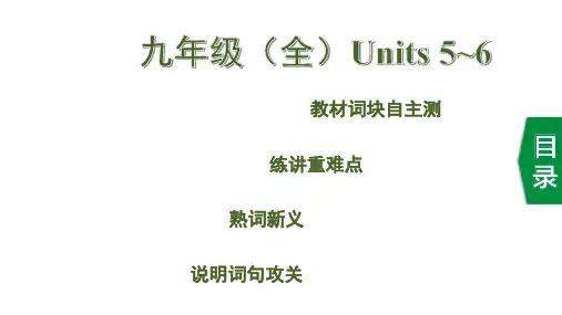 2020版中考英语(冀教版)新培优大二轮语法专题复习河北专用：15. 九年级(全)Units 5~6