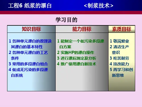 项目6纸浆的漂白制浆技术PPT课件