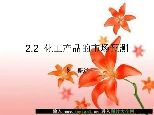 化工过程开发与设计