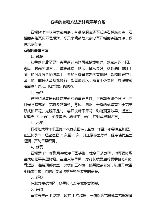 石榴的养殖方法及注意事项介绍