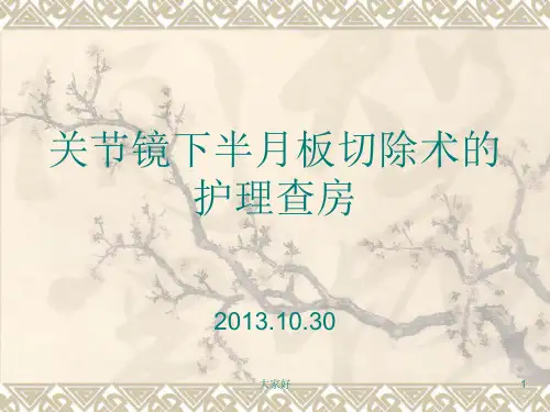 关节镜手术护理查房 PPT