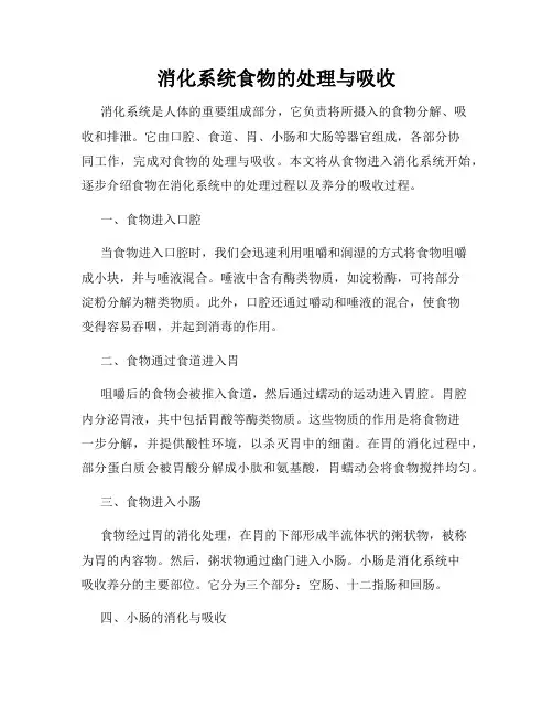 消化系统食物的处理与吸收