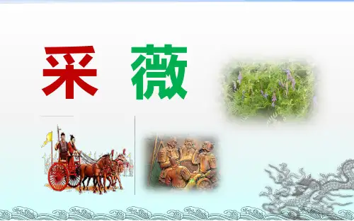 《采薇》《无衣》《十五从军征》对比阅读