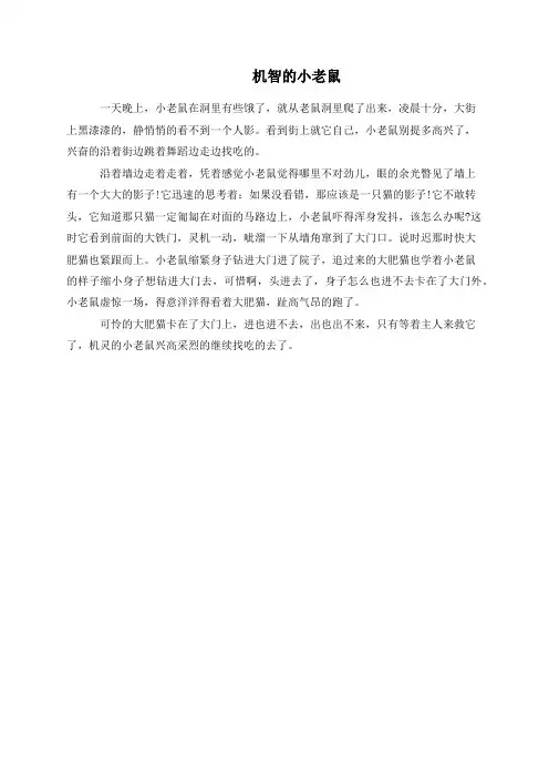 机智的小老鼠