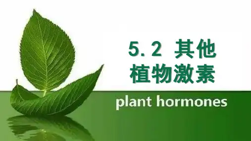 【新教材】5.2 其它植物激素 课件 【新教材】人教版(2019)高中生物选择性必修一