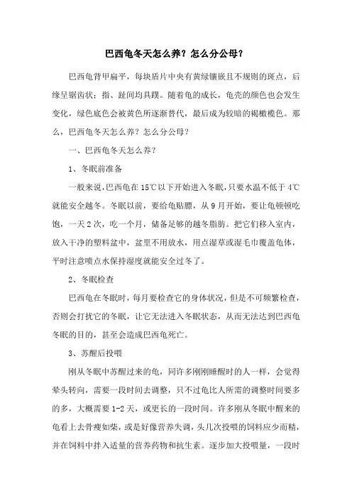 巴西龟冬天怎么养？怎么分公母？