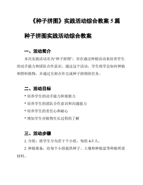《种子拼图》实践活动综合教案5篇