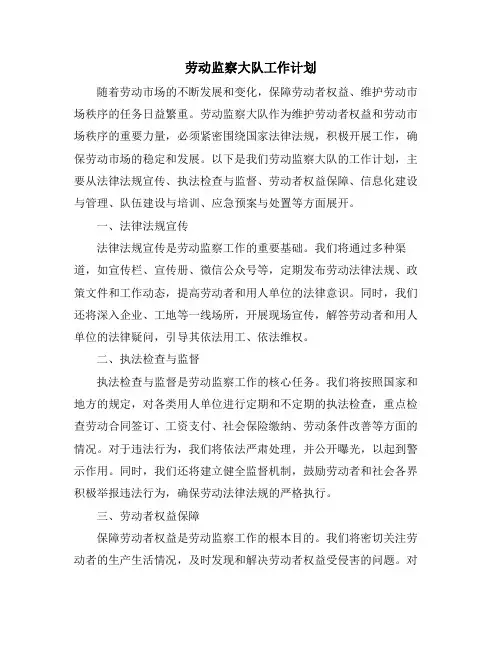 劳动监察大队工作计划