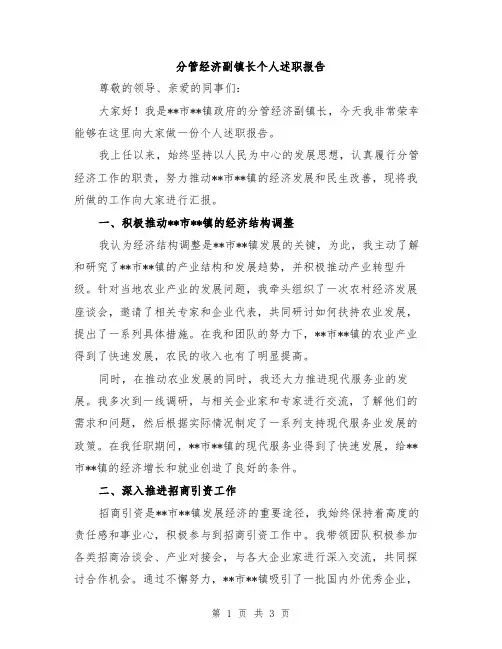 分管经济副镇长个人述职报告