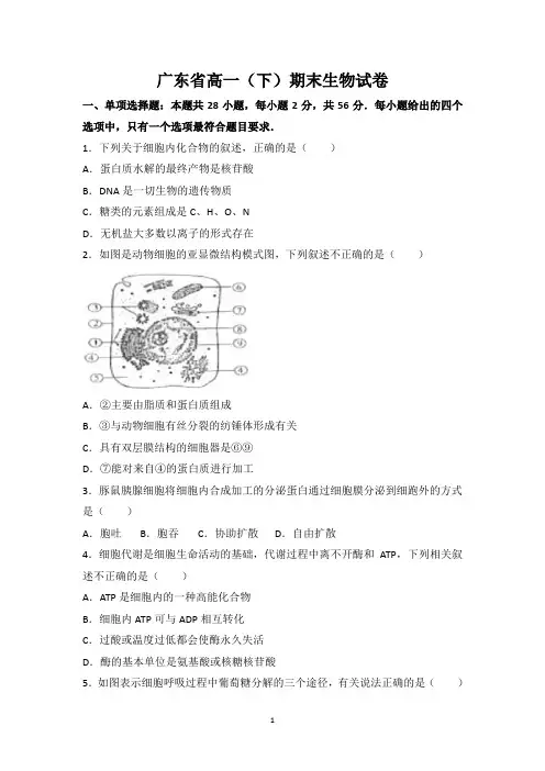 广东省高一(下)期末生物试卷(含参考答案)
