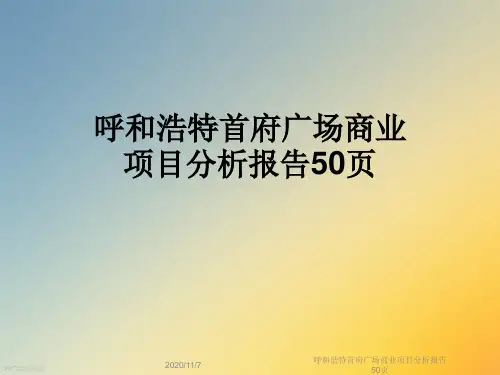 呼和浩特首府广场商业项目分析报告50页