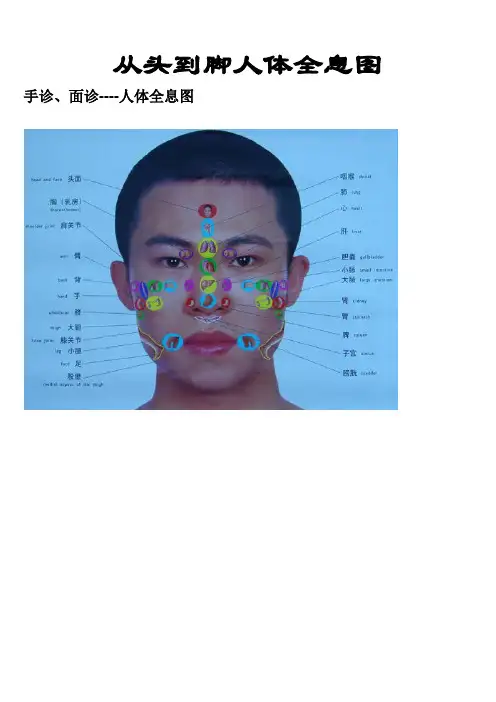 人体全息图