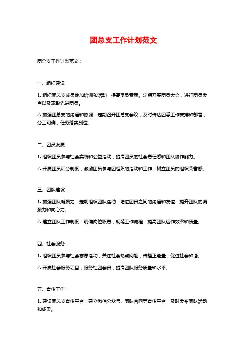团总支工作计划范文