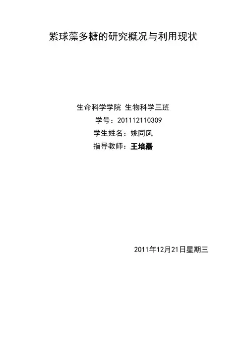 紫球藻