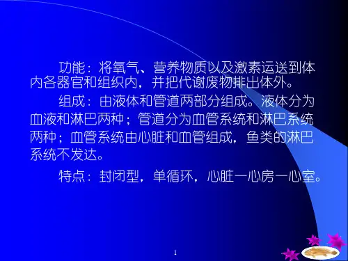 鱼类学循环系统