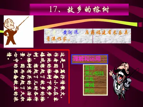 《故乡的榕树》ppt课件