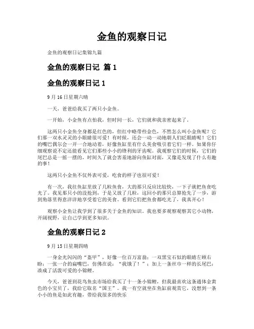金鱼的观察日记