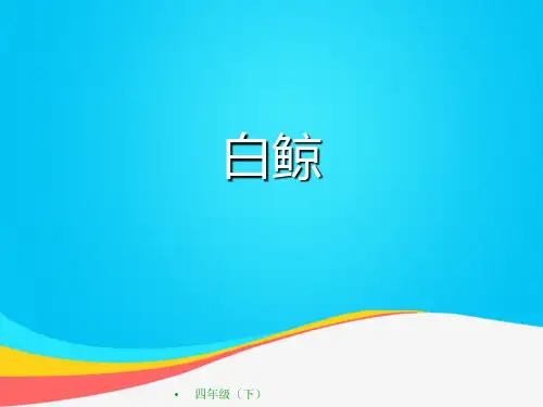 (推荐)白鲸教学演示PPT资料