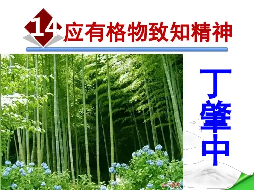 14《应有格物致知精神》丁肇中