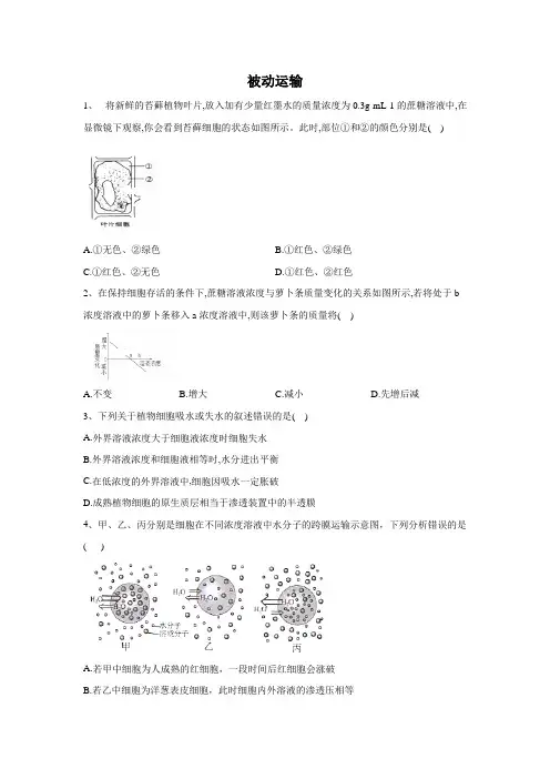 2019-2020学年 人教版 必修一 被动运输  作业