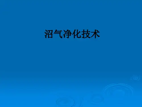 沼气净化技术ppt课件