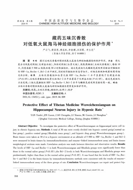 藏药五味沉香散对低氧大鼠海马神经细胞损伤的保护作用