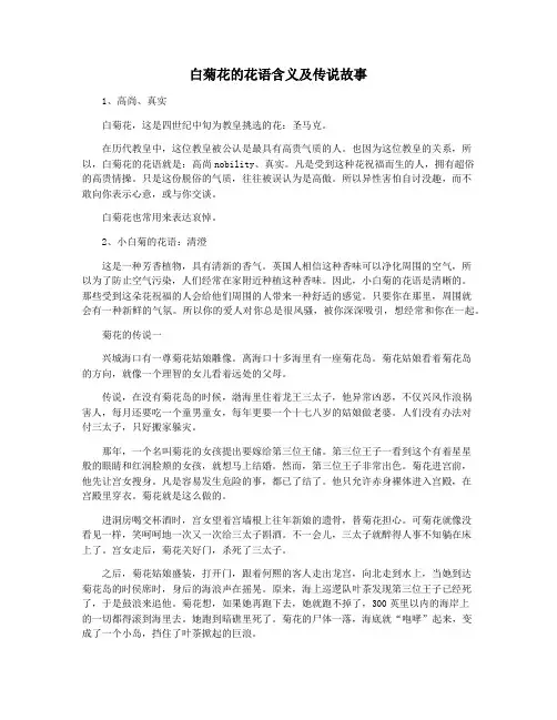 白菊花的花语含义及传说故事