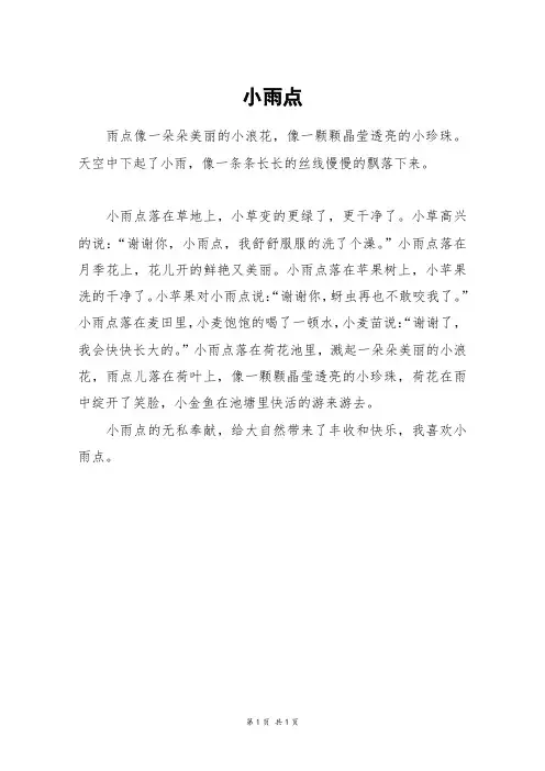 小雨点_二年级作文_2