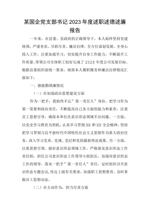 某国企党支部书记2023年度述职述德述廉报告