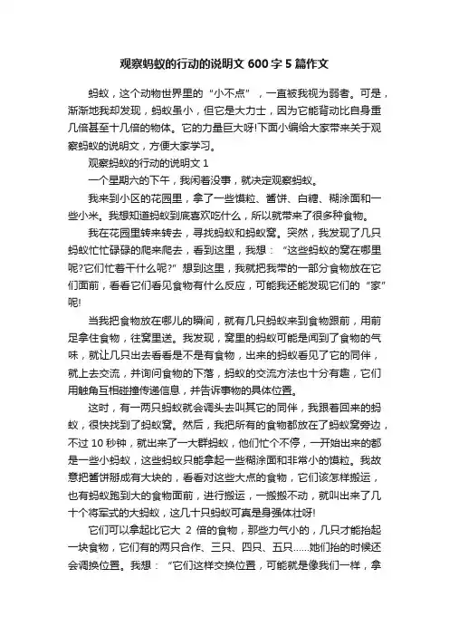 观察蚂蚁的行动的说明文600字5篇作文