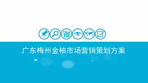 柚子策划方案