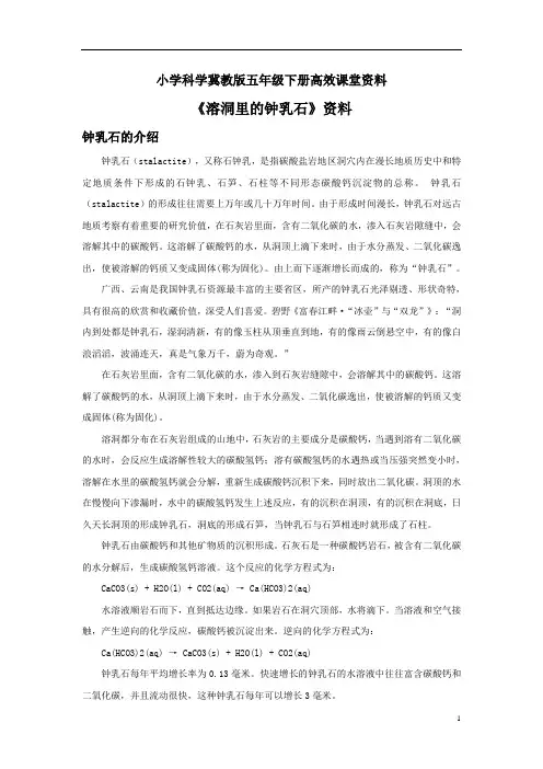 小学科学冀教版五年级下册高效课堂资料《溶洞里的钟乳石》资料：钟乳石的介绍