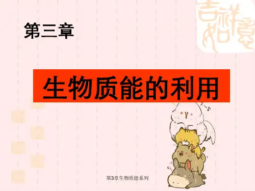 第3章生物质能系列
