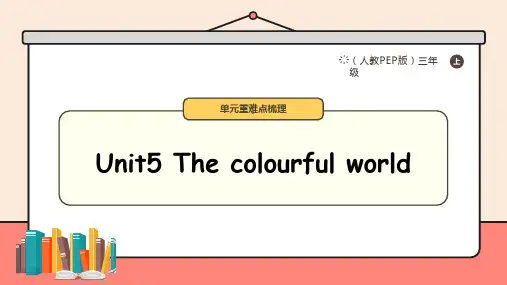 Unit5 The colourful world 单元复习课件——单词、句型、语法、语音+典型例题