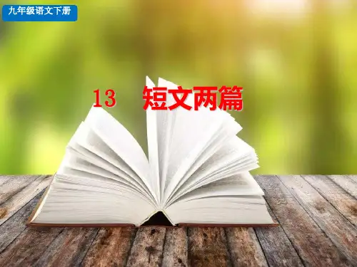部编版九年级下册语文 第4单元 短文两篇 探究积累课件