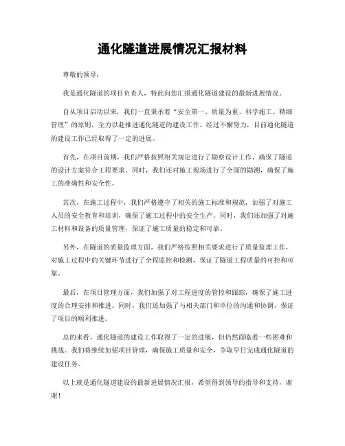 通化隧道进展情况汇报材料