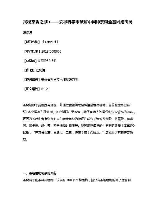揭秘茶香之谜r——安徽科学家破解中国种茶树全基因组密码