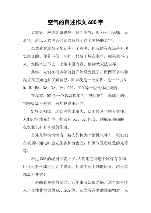 空气的自述作文600字