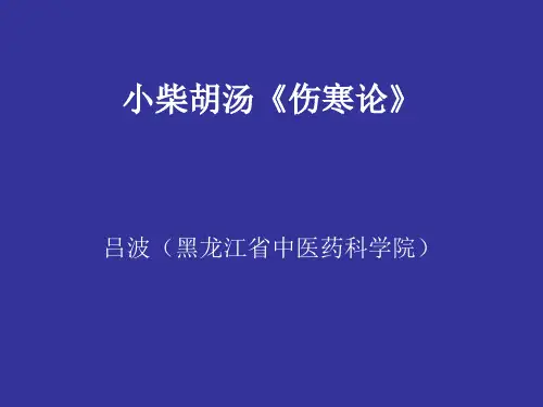 小柴胡汤精品PPT课件