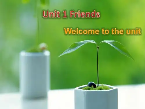 牛津译林版八年级英语上册《nit 1 Friends  Welcome to the unit》优质课课件_18