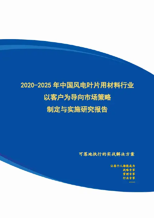2020-2025年中国风电叶片用材料行业以客户为导向市场策略制定与实施研究报告