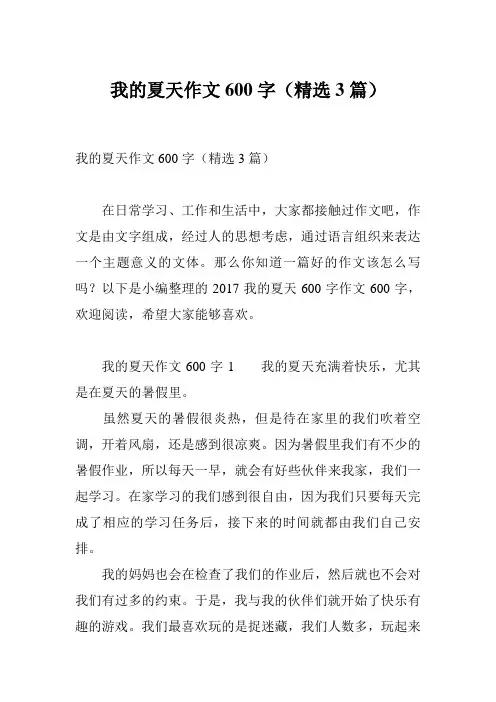 我的夏天作文600字(精选3篇)