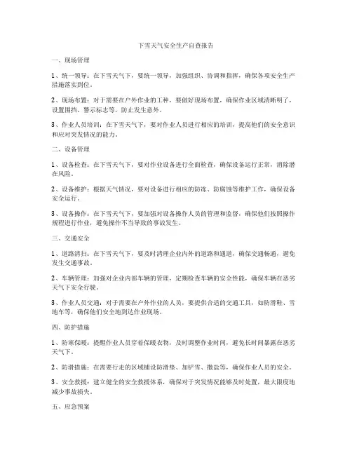 下雪天气安全生产自查报告
