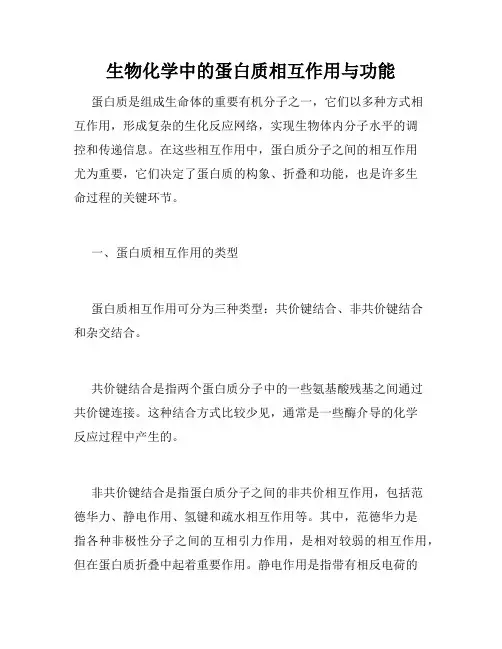 生物化学中的蛋白质相互作用与功能