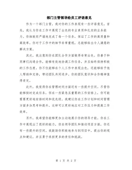 部门主管领导给员工评语意见